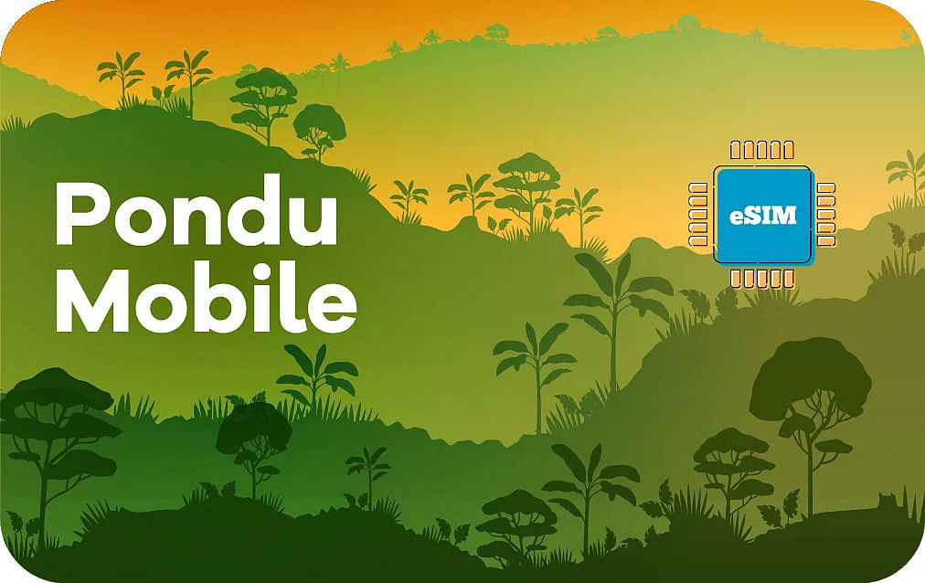 Democratic Republic Of The Congo